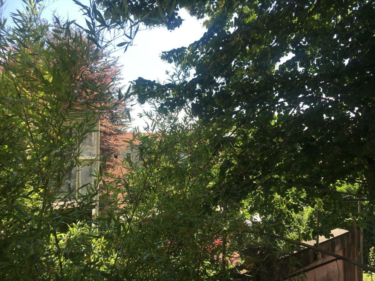 Il Ricciolo B&B Turin Bagian luar foto