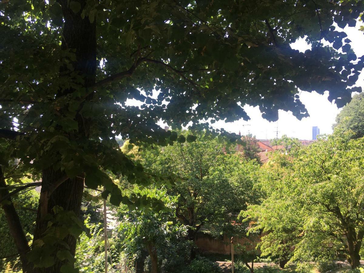 Il Ricciolo B&B Turin Bagian luar foto
